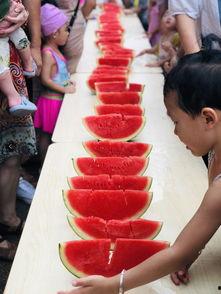 吃瓜的娱乐小能手